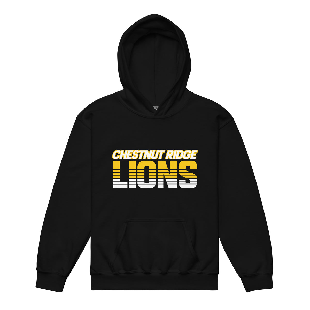 Classic | Youth Hoodie | Chestnut Ridge Lions Football | Script Logo