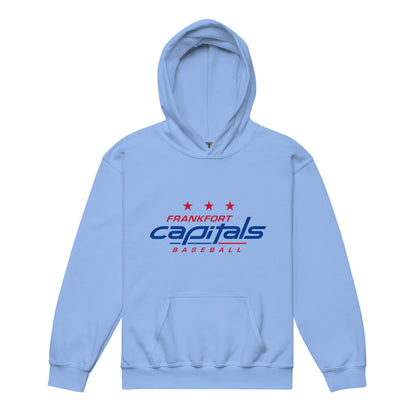 Classic | Youth Hoodie | FFYSA | Frankfort Vanguard Logo