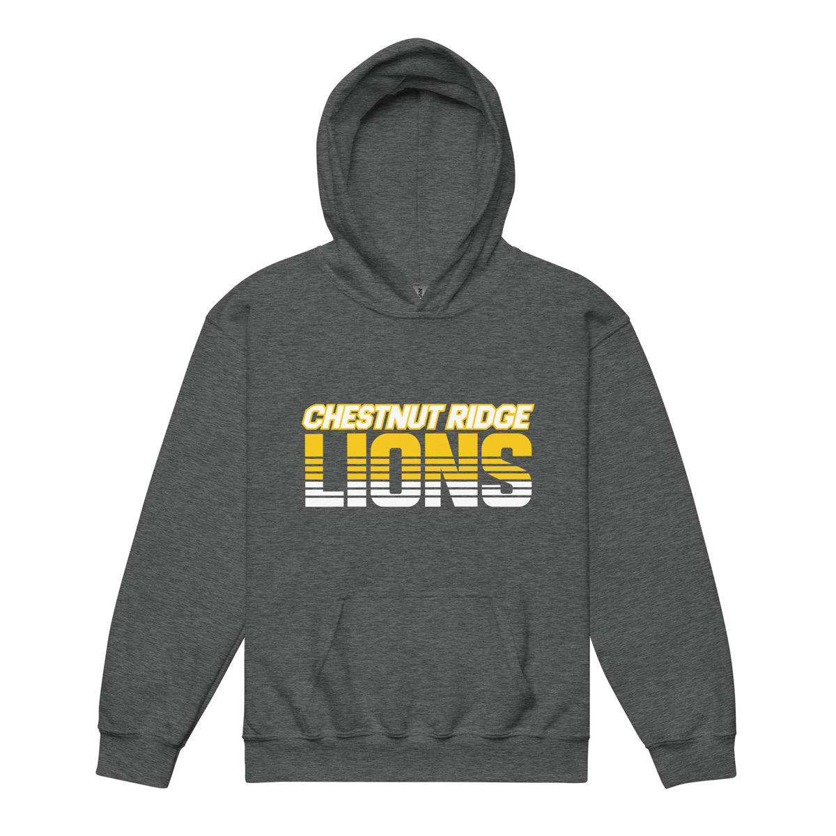 Classic | Youth Hoodie | Chestnut Ridge Lions Football | Script Logo