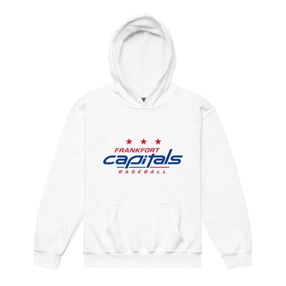 Classic | Youth Hoodie | FFYSA | Frankfort Vanguard Logo