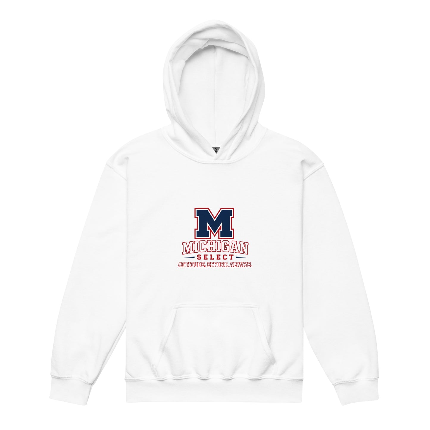 Classic | Youth Hoodie | Michigan Select Baseball | Crest Logo