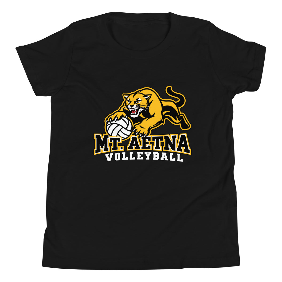 Performance | Youth T-Shirt | Mt. Aetna Adventist School | Volleyball Apex Logo
