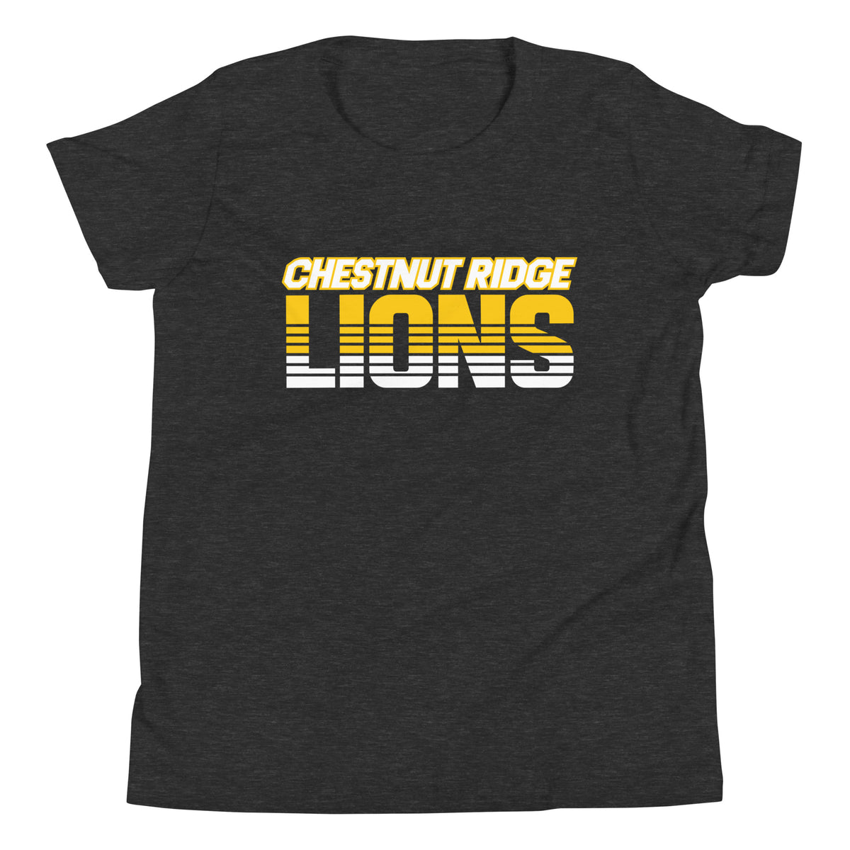 Performance | Youth T-Shirt | Chestnut Ridge Lions Football | Script Logo