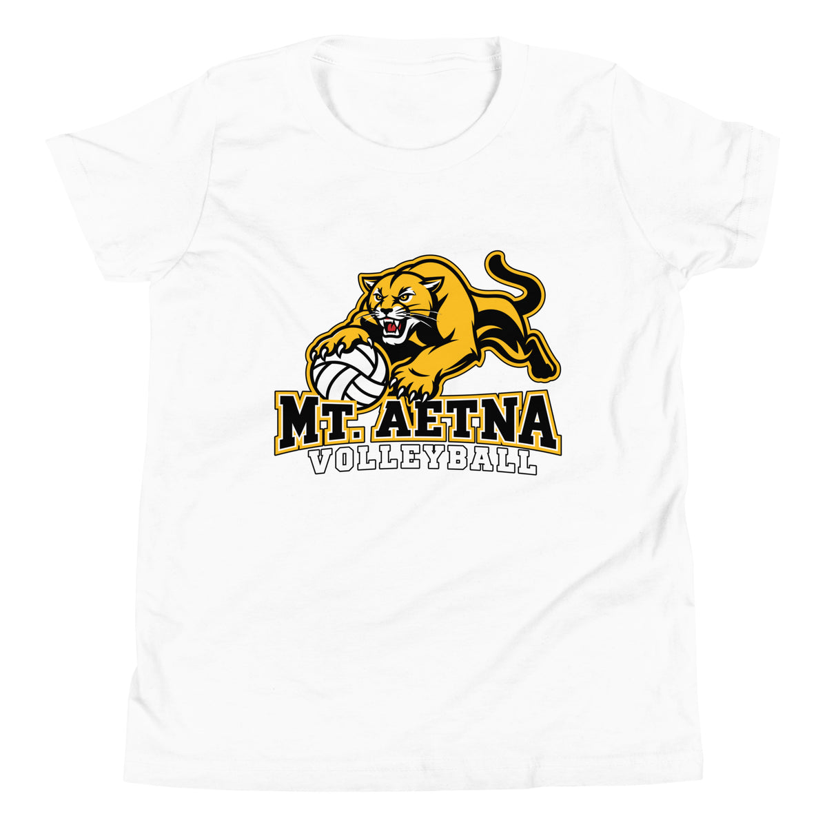 Performance | Youth T-Shirt | Mt. Aetna Adventist School | Volleyball Apex Logo